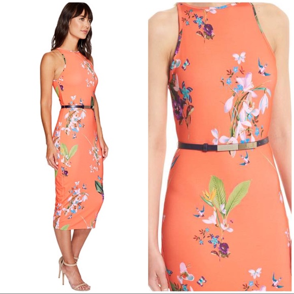 ted baker dress price